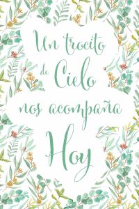 C-CIELO49